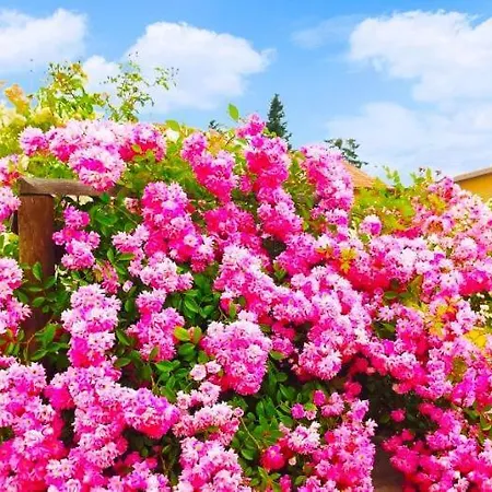 Residenza Il Bosco E Le Rose Apartman